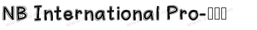 NB International Pro字体转换